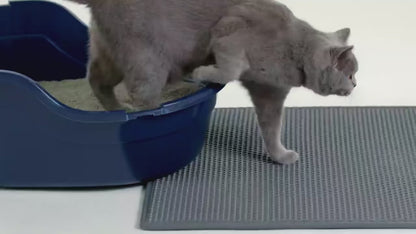 Pet Cat Litter Mat Waterproof Double Layer Cat Litter Trapping Pet Litter Box Mat Clean Pad Products For Cats Accessories